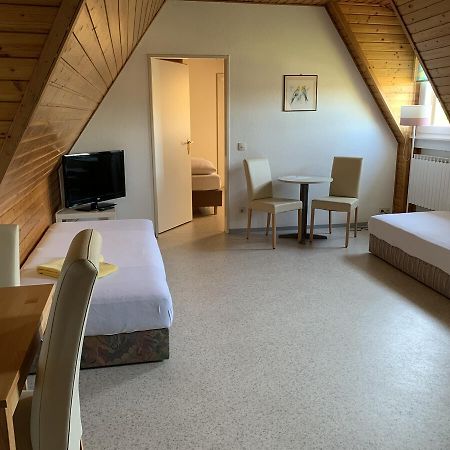 Gaestehaus An Der Rheinbruecke Altlussheim 외부 사진